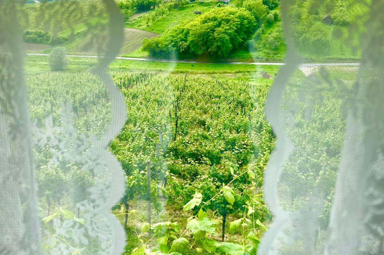 Wine Paradise Sveti Ivan Zelina Exteriér fotografie