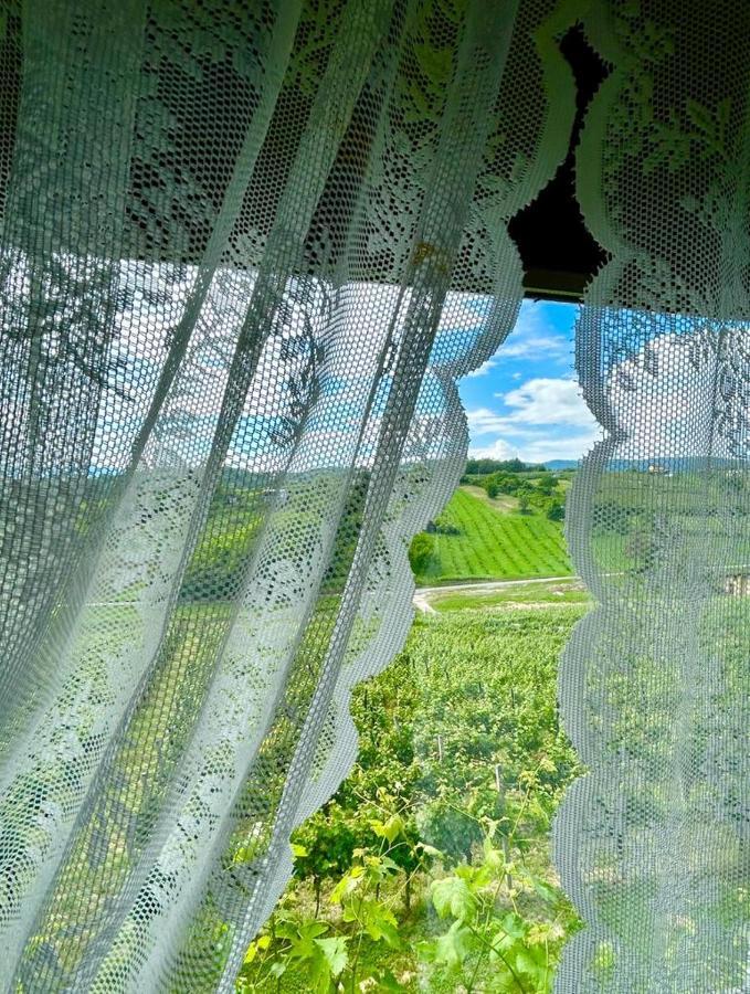 Wine Paradise Sveti Ivan Zelina Exteriér fotografie