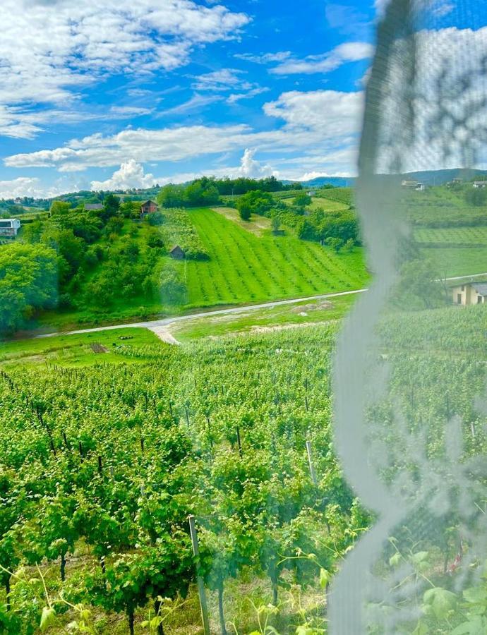 Wine Paradise Sveti Ivan Zelina Exteriér fotografie