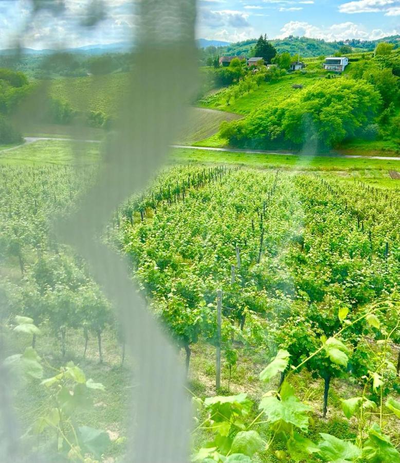 Wine Paradise Sveti Ivan Zelina Exteriér fotografie