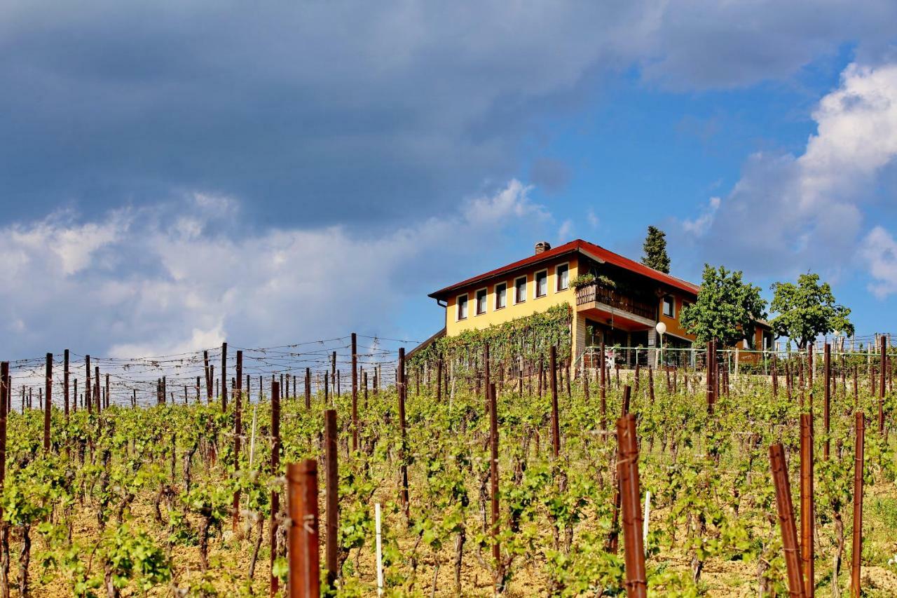 Wine Paradise Sveti Ivan Zelina Exteriér fotografie