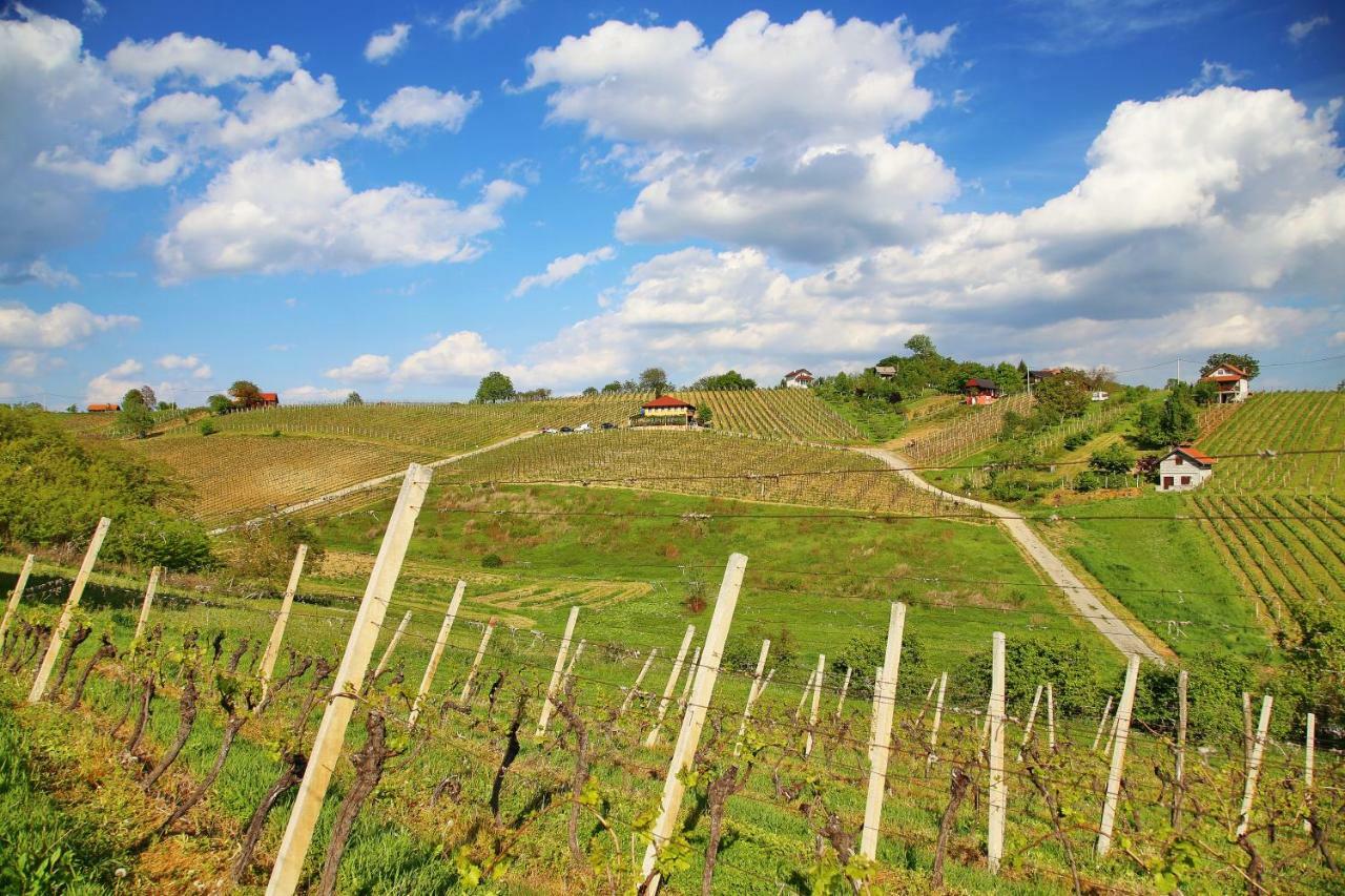 Wine Paradise Sveti Ivan Zelina Exteriér fotografie