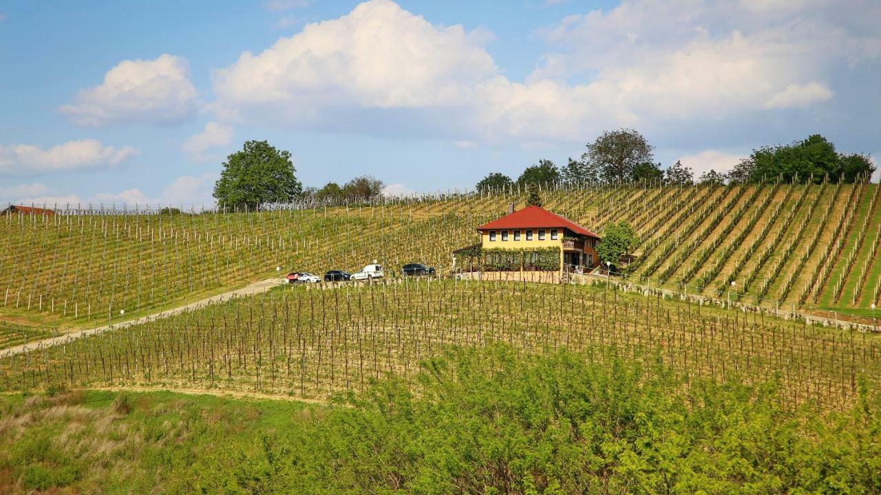 Wine Paradise Sveti Ivan Zelina Exteriér fotografie